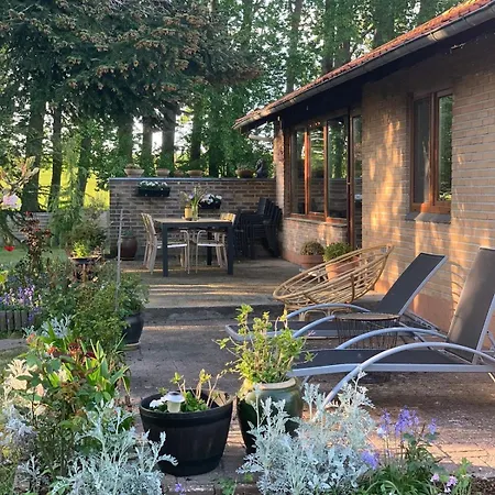 Ria Sauna, Jacuzzi *