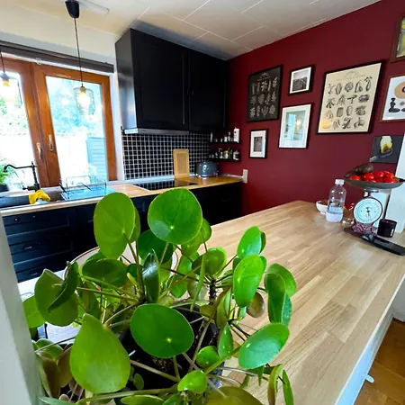 Ria Sauna, Jacuzzi * Odder